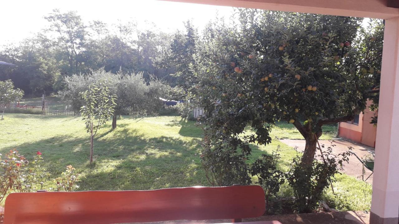 Apartman Lena Umag Exterior photo