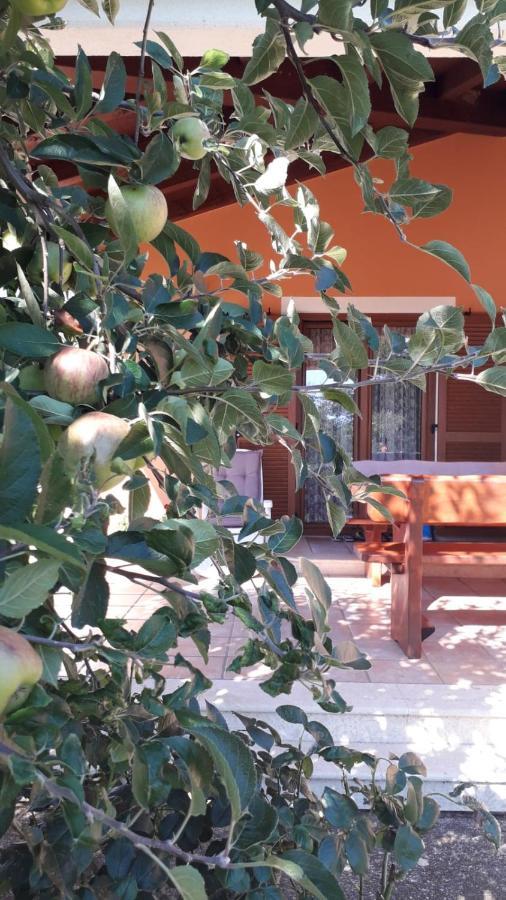 Apartman Lena Umag Exterior photo